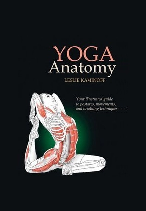 200-hour-hatha-yoga-ttc-in-rishikesh